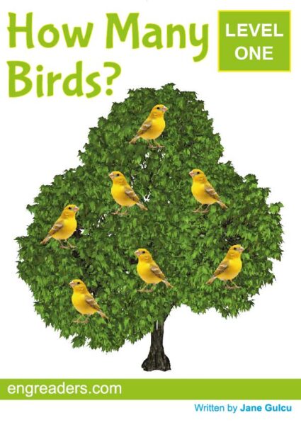 How Many Birds?
