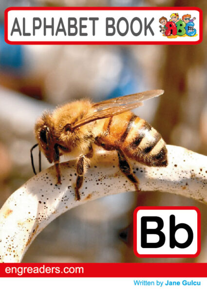 Alphabet Book Bb