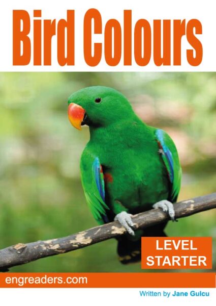 Bird Colours