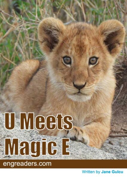 U Meets Magic E