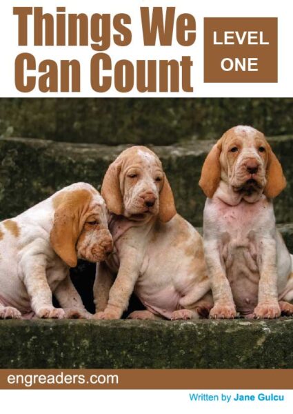 Thing We Can Count
