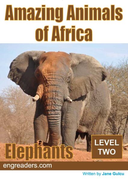 Amazing Animals of Africa: Elephants