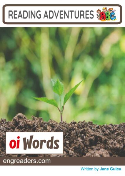 Reading Adventures: oi Words