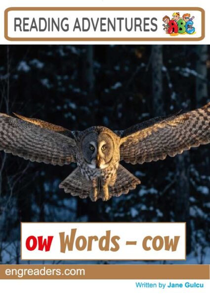 Reading Adventures: ow Words - cow