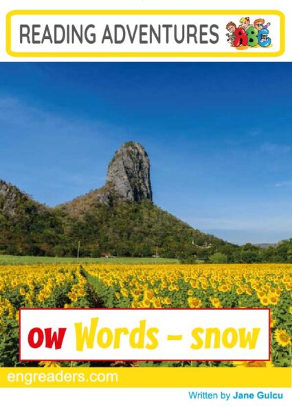 Reading Adventures: ow Words - snow