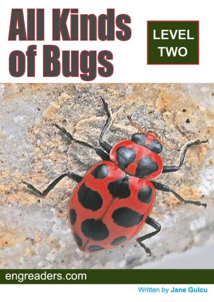 All Kinds of Bugs