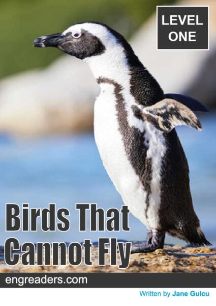 Birds That Cannot Fly