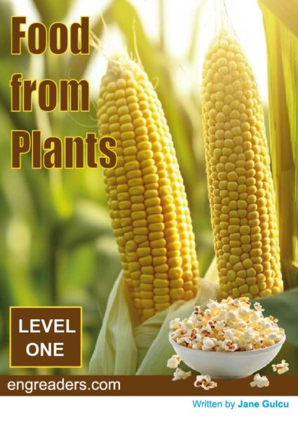 Food from Plants