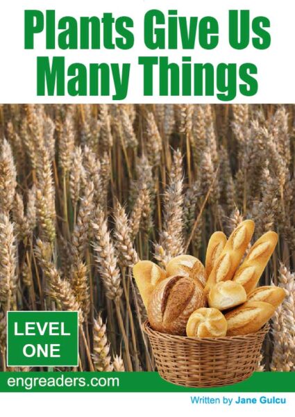 Plants Give Us Many Things