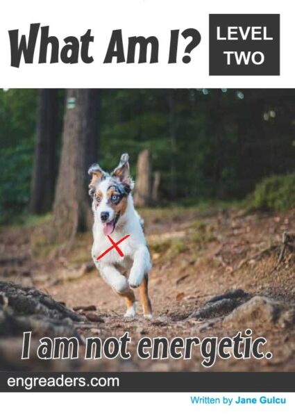 What Am I?- I am not energetic.