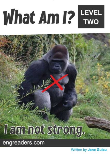 What Am I? - I am not strong.